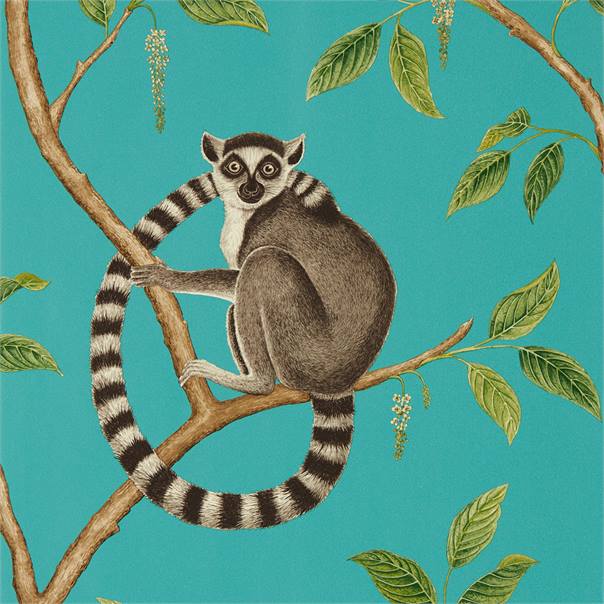 Обои Sanderson The Glasshouse Ringtailed Lemur 216663